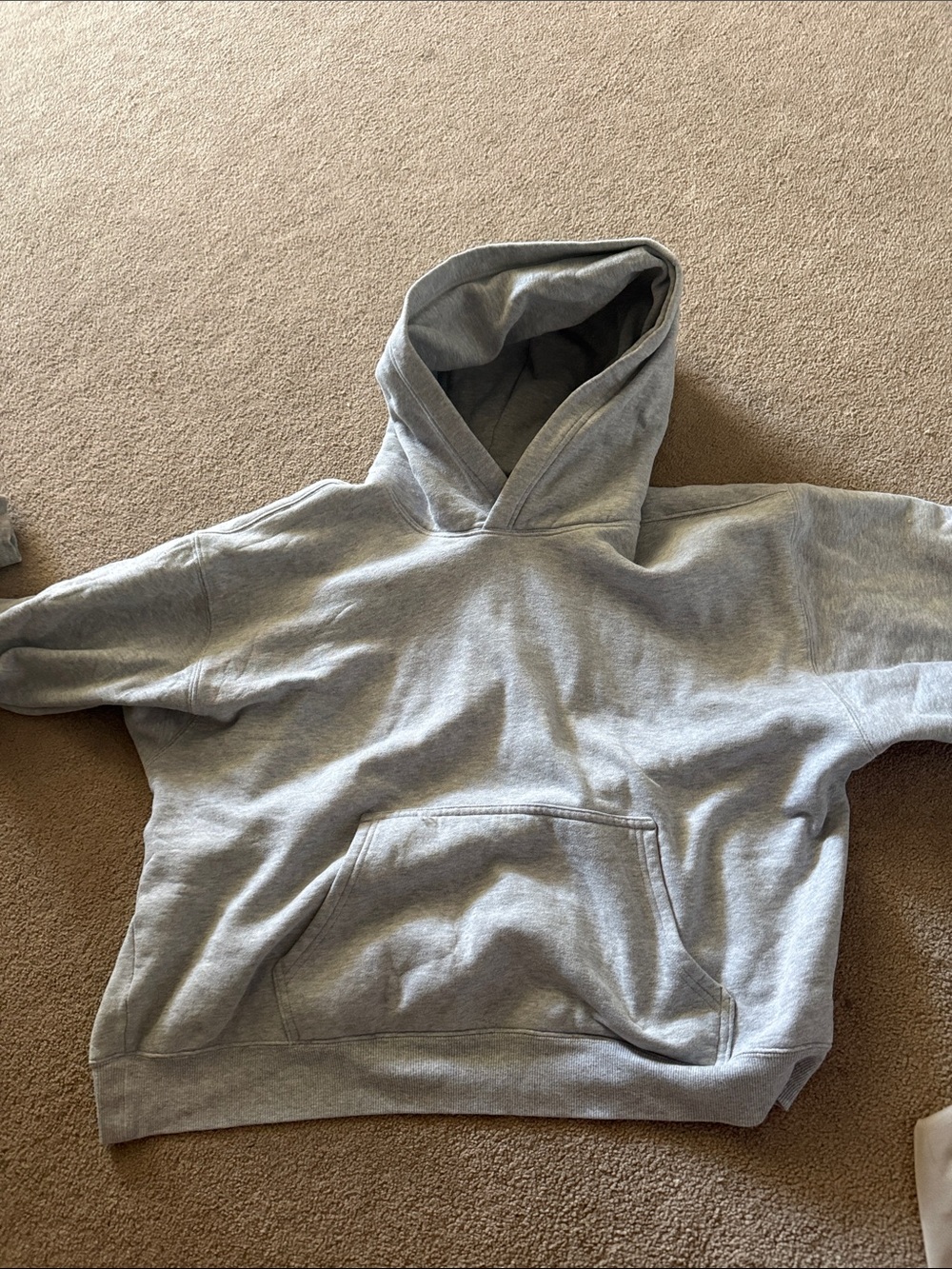 Aritzia Perfect Fit Light Gray Pullover Hoodie